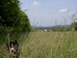 spaziergang11.jpg (12979 Byte)