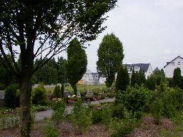 spaziergang16.jpg (15306 Byte)