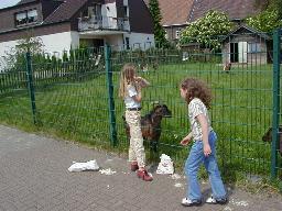 spaziergang2.jpg (15138 Byte)