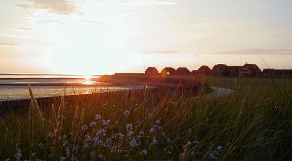 hus-amABEND2.JPG (26137 Byte)