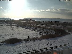 baltrum--jan 2010a.jpg (14980 Byte)