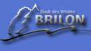 stadt_des_waldes--BRILON.gif (5864 Byte)